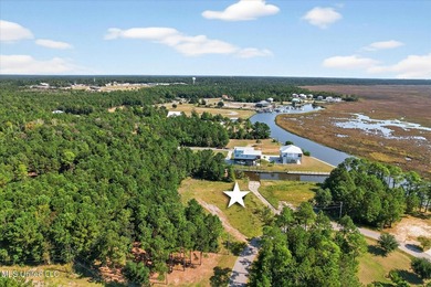 2 cleared lots on the South side of Diamondhead ready for you to - photo 9