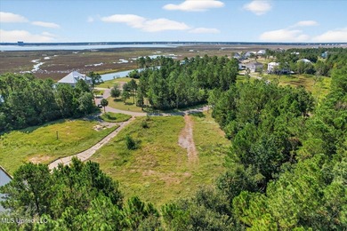 2 cleared lots on the South side of Diamondhead ready for you to - photo 10