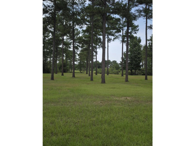 Level, cleared, and ready to be developed lot on Point A Lake - photo 1
