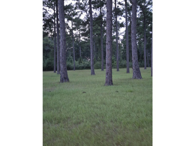 Level, cleared, and ready to be developed lot on Point A Lake - photo 2