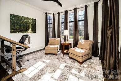 Located in prestigious Lakeview Park, one of North Asheville's - photo 13