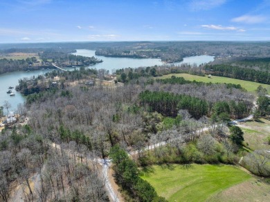 SMITH LAKE/ POINT LOT, Amazing point on Rock Creek. located just - photo 9