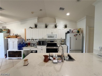 **NEW SOLAR PANELS INCLUDED** Welcome home to this charming - photo 4