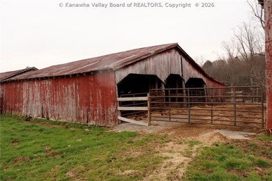 This beautiful 116+/- acre farm features approx. 90+/- acres of - photo 11