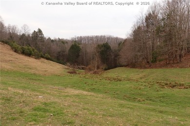 This beautiful 116+/- acre farm features approx. 90+/- acres of - photo 12