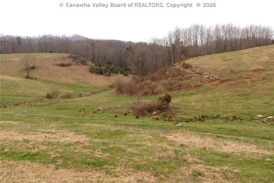 This beautiful 116+/- acre farm features approx. 90+/- acres of - photo 14