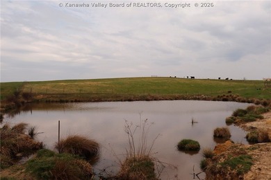 This beautiful 116+/- acre farm features approx. 90+/- acres of - photo 15