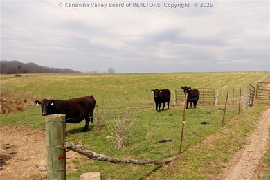 This beautiful 116+/- acre farm features approx. 90+/- acres of - photo 16