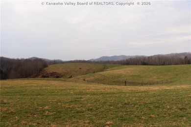 This beautiful 116+/- acre farm features approx. 90+/- acres of - photo 17
