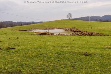 This beautiful 116+/- acre farm features approx. 90+/- acres of - photo 18