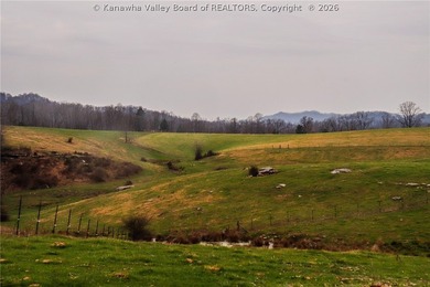 This beautiful 116+/- acre farm features approx. 90+/- acres of - photo 19