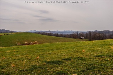 This beautiful 116+/- acre farm features approx. 90+/- acres of - photo 20