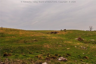 This beautiful 116+/- acre farm features approx. 90+/- acres of - photo 21