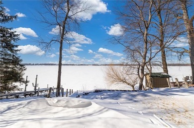 Lake Minnie Bell Home For Sale in Greenleaf Twp Minnesota
