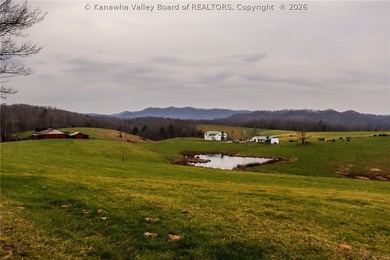 This beautiful 116+/- acre farm features approx. 90+/- acres of - photo 22