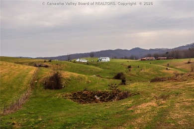 This beautiful 116+/- acre farm features approx. 90+/- acres of - photo 24