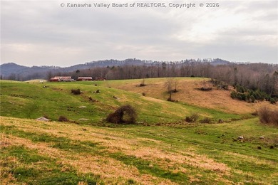 This beautiful 116+/- acre farm features approx. 90+/- acres of - photo 25