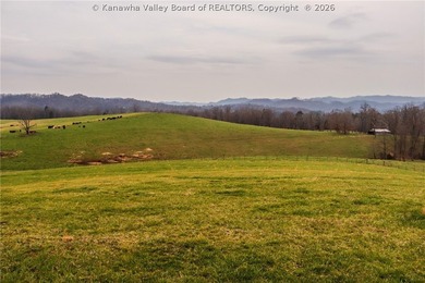 This beautiful 116+/- acre farm features approx. 90+/- acres of - photo 26