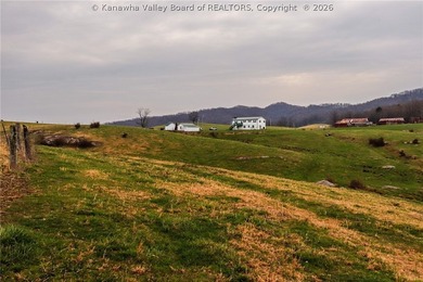 This beautiful 116+/- acre farm features approx. 90+/- acres of - photo 27