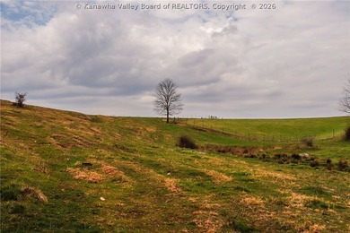This beautiful 116+/- acre farm features approx. 90+/- acres of - photo 28