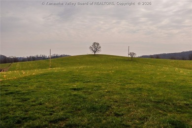 This beautiful 116+/- acre farm features approx. 90+/- acres of - photo 29