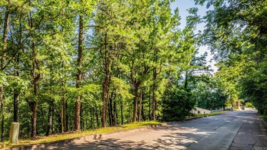 Come see this amazing lot with River Views and even views of the - photo 2
