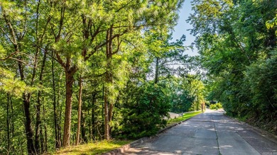 Come see this amazing lot with River Views and even views of the - photo 3