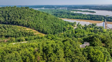 Come see this amazing lot with River Views and even views of the - photo 4