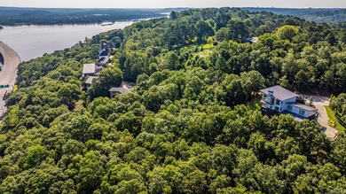 Come see this amazing lot with River Views and even views of the - photo 5