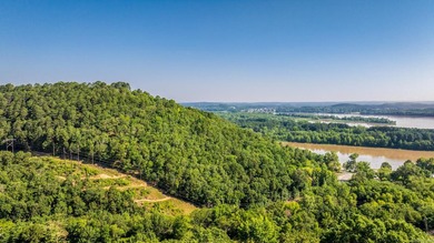 Come see this amazing lot with River Views and even views of the - photo 7