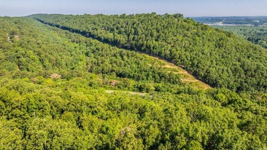Come see this amazing lot with River Views and even views of the - photo 8