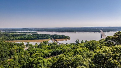 Come see this amazing lot with River Views and even views of the - photo 9