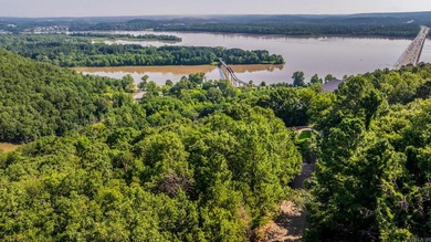 Come see this amazing lot with River Views and even views of the - photo 10