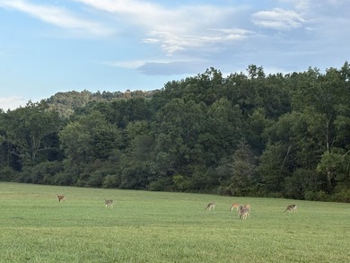Beautiful property with room to roam on 102.23 acres in - photo 10