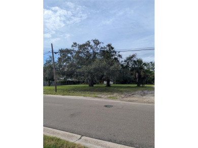 Lake Maggiore  Lot For Sale in St. Petersburg Florida