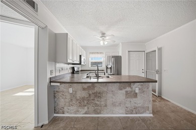 2 bed 2 bath first floor condo in the complex of Villa Manor - photo 10