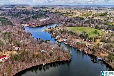 Waterfront Lot on Highland Lake - A Hidden Gem in Alabama! Build - photo 11