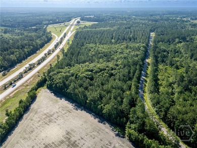 Prime Development Opportunity - 55 Cleared Acres Near I-16 - photo 11