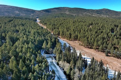 Located at the end of a quiet cul-de-sac, this homesite boasts - photo 11