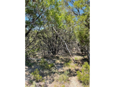 Canyon Lake Lot For Sale in Canyon Lake Texas