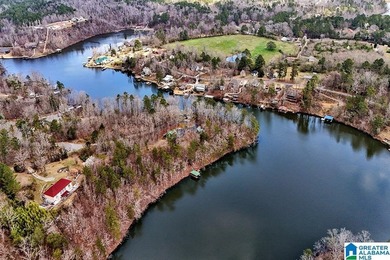 Waterfront Lot on Highland Lake - A Hidden Gem in Alabama! Build - photo 12