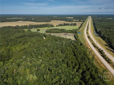 Prime Development Opportunity - 55 Cleared Acres Near I-16 - photo 12
