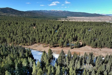 Located at the end of a quiet cul-de-sac, this homesite boasts - photo 12