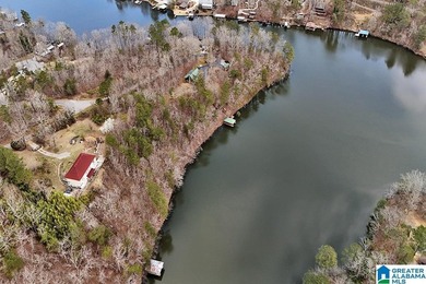 Waterfront Lot on Highland Lake - A Hidden Gem in Alabama! Build - photo 13