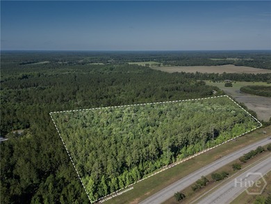 Prime Development Opportunity - 55 Cleared Acres Near I-16 - photo 13