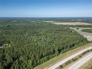 Prime Development Opportunity - 55 Cleared Acres Near I-16 - photo 14