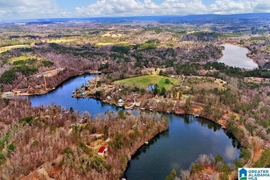 Waterfront Lot on Highland Lake - A Hidden Gem in Alabama! Build - photo 15