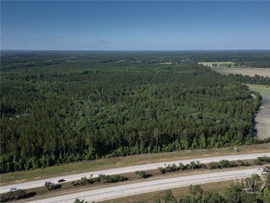 Prime Development Opportunity - 55 Cleared Acres Near I-16 - photo 15