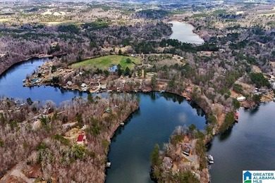 Waterfront Lot on Highland Lake - A Hidden Gem in Alabama! Build - photo 16