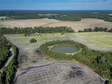 Prime Development Opportunity - 55 Cleared Acres Near I-16 - photo 16